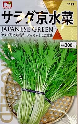 サラダ京水菜 植物 種 種 野菜 Tree People
