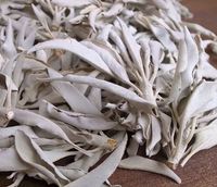 �ۥ磻�ȥ��������롼���꡼�աʥץ�ߥ����