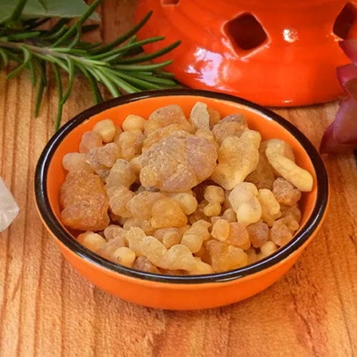 フランキンセンス・レジン | 雑貨,レジンインセンス | Tree people