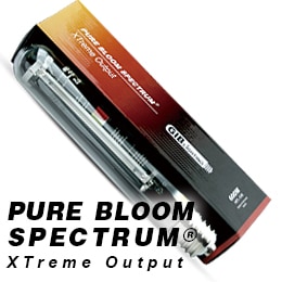 Sale! GIB HPS Pure Bloom HPS400w