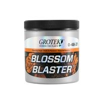 ��GROTEK�� BLOSSOM BLASTER