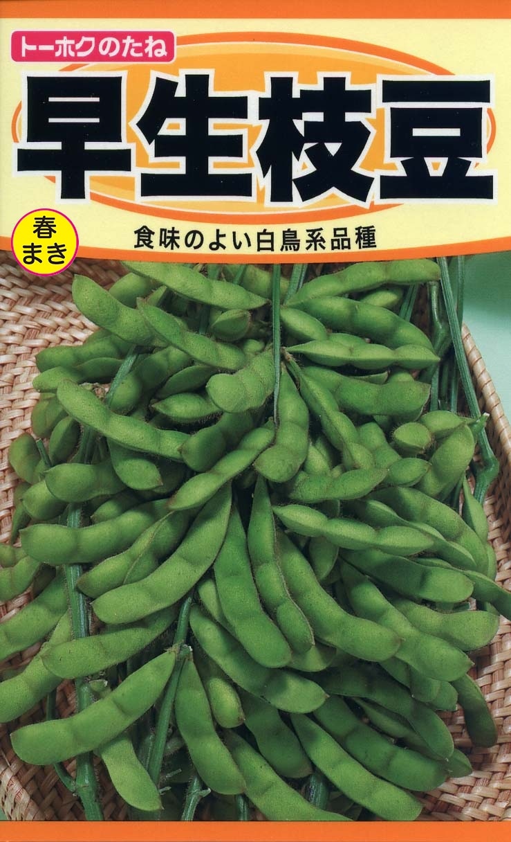 枝豆（2点） 早生枝豆 | 植物・種,種（トーホク） | Tree people