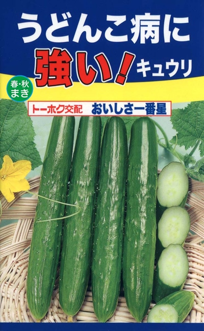 きゅうり Amazon | 株式会社トーホク キュウリ 新四葉つけみどり 03853 | 野菜