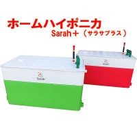 ۡϥݥ˥Sarah+ʥץ饹