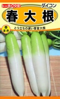 纬