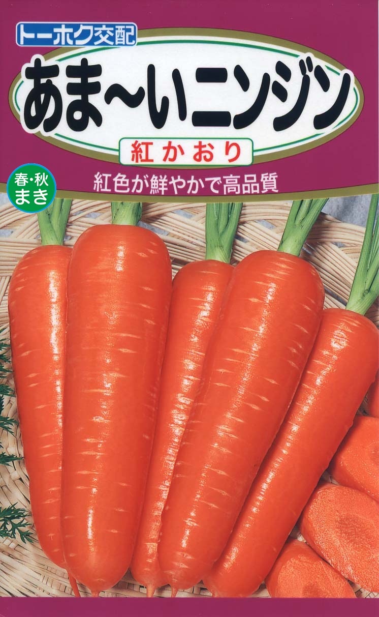 あま～いニンジン 紅かおり | 植物・種,種（トーホク） | Tree people