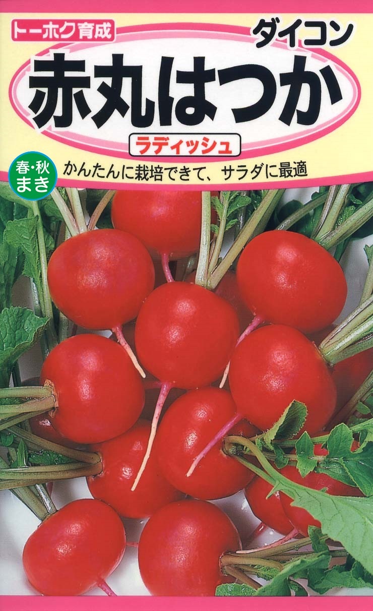 赤丸はつか ラディッシュ | 植物・種,種（トーホク） | Tree people