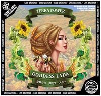 ��TERRA POWER�� GODDESS LADA (���åǥ������)