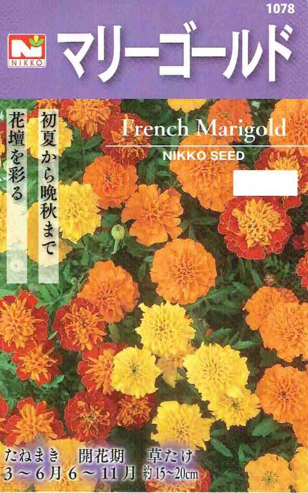 マリンゴールド 3本セット 青臭く 