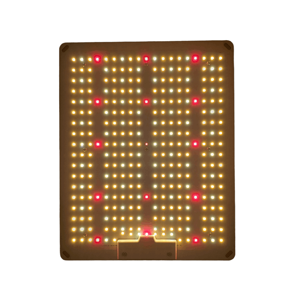 CRYSTAL SPORE LED-100 | 植物育成灯,CRYSTAL SPORE | Tree people