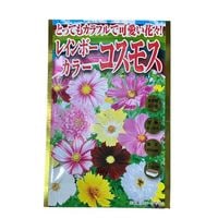 �쥤��ܡ����顼�������⥹