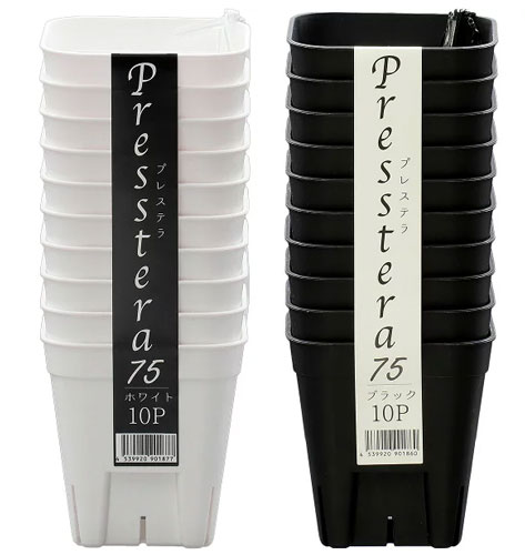 �ץ쥹�ƥ� 75�� (10����)