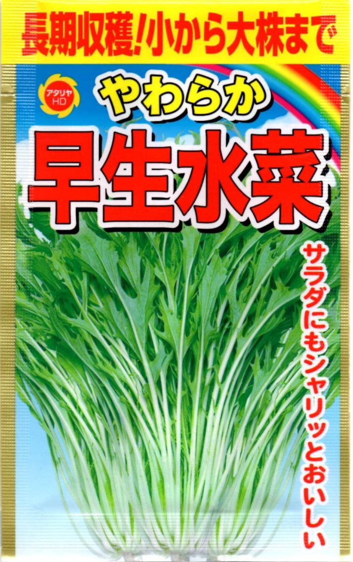 長期収穫！小から大株まで やわらか 早生水菜 | すべての商品 | Tree