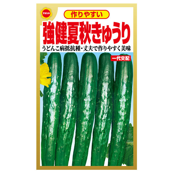 作りやすい 強健夏秋きゅうり | すべての商品 | Tree people