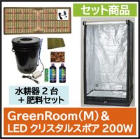 GreenRoom(M)��LED���ꥹ���륹�ݥ�200&��̴�2��&����������å�