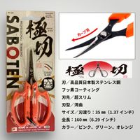 �ڶ��ڡ� �˺�����ϥ��ߡ��ʿ� PT-21