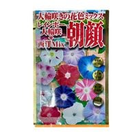 ī�顡�쥤��ܡ����غ������Mix