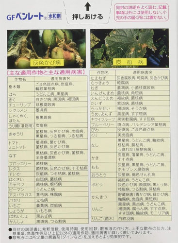 ��KINCHO��ݡۥ٥�졼�ȿ��º�