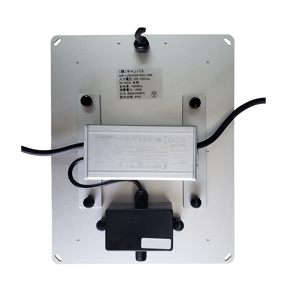 CRYSTAL SPORE LED-100