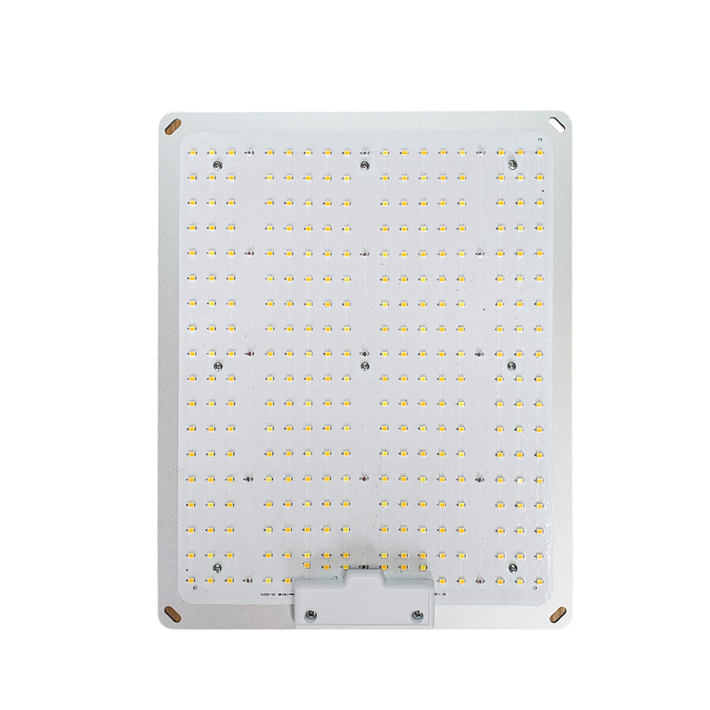 CRYSTAL SPORE LED-100