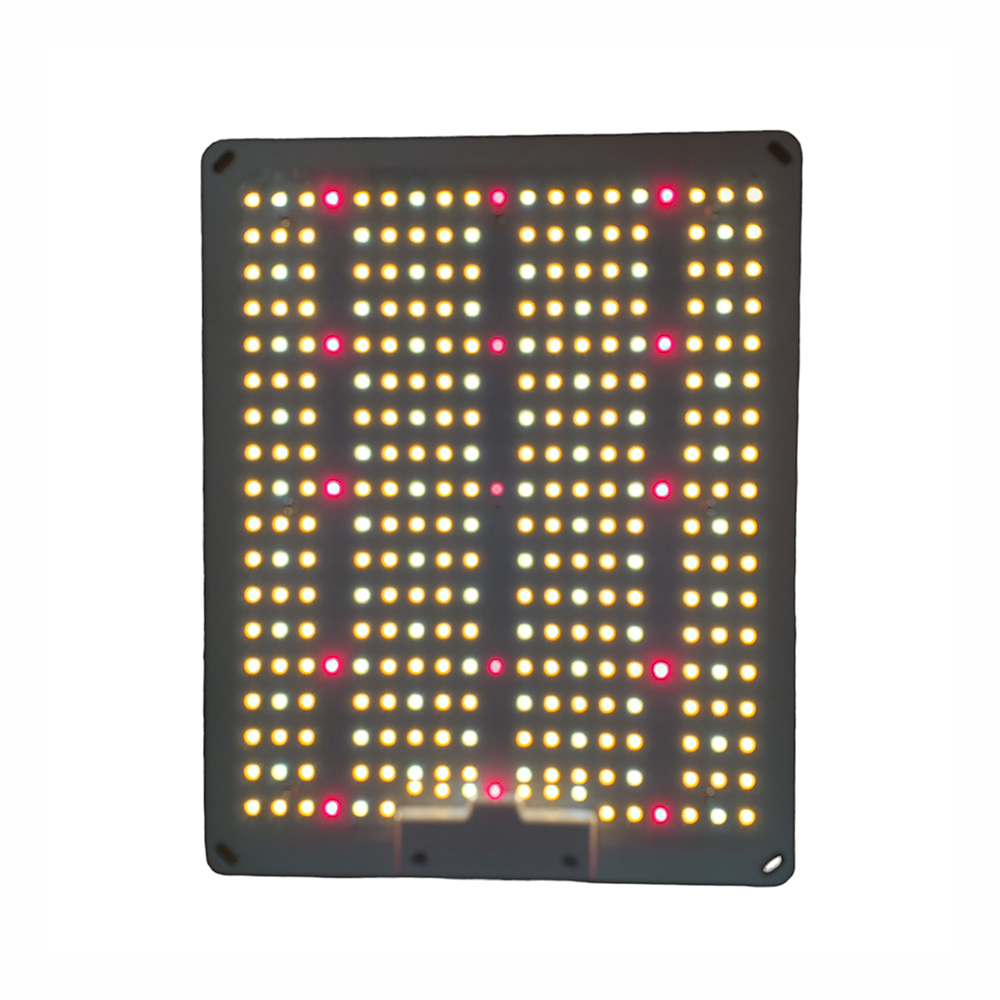 CRYSTAL SPORE LED-100