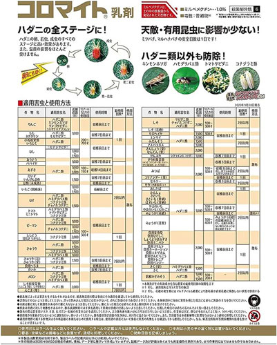 �����ޥ�������