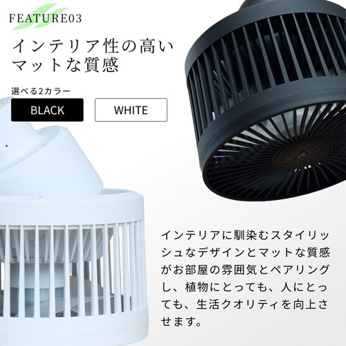 BARRELAechmea move ʥ֥å