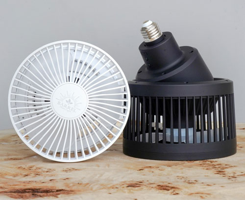 BARRELAechmea move ʥ֥å