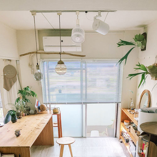 BARRELAechmea move ʥ֥å