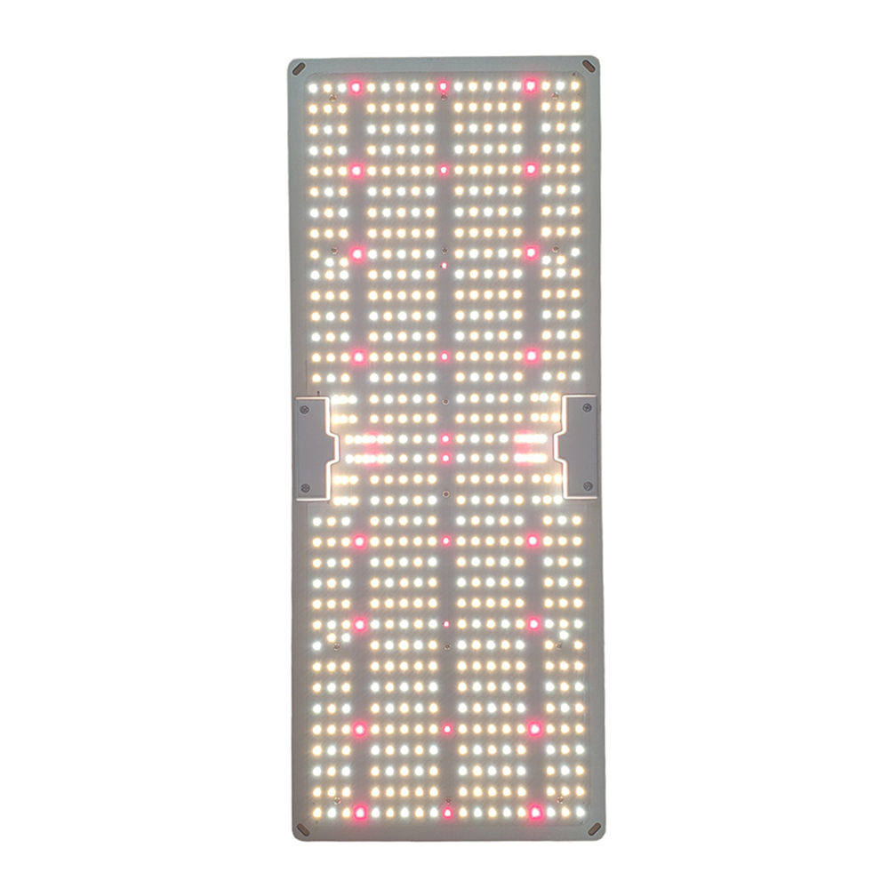 CRYSTAL SPORE LED-200