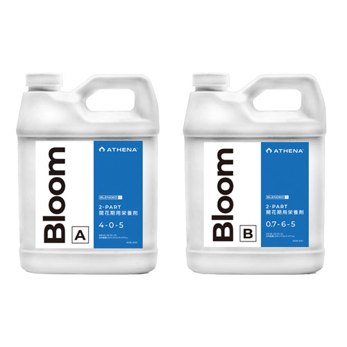 ��ATHENA�� BLOOM A/B