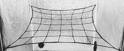 �������ܥå����ѥͥå�