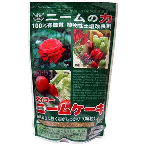 �ˡ��ॱ����(�ˡ�����ϡ�