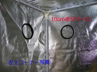 ��SODATEC�� Green Room [L]