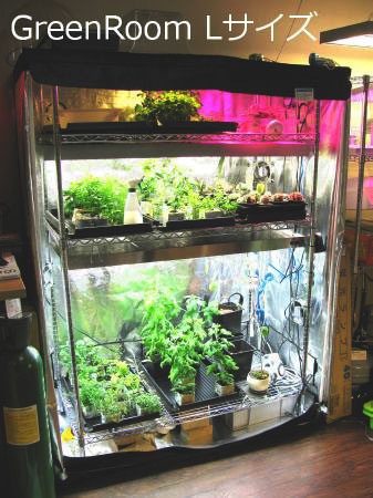 ��SODATEC�� Green Room [L]