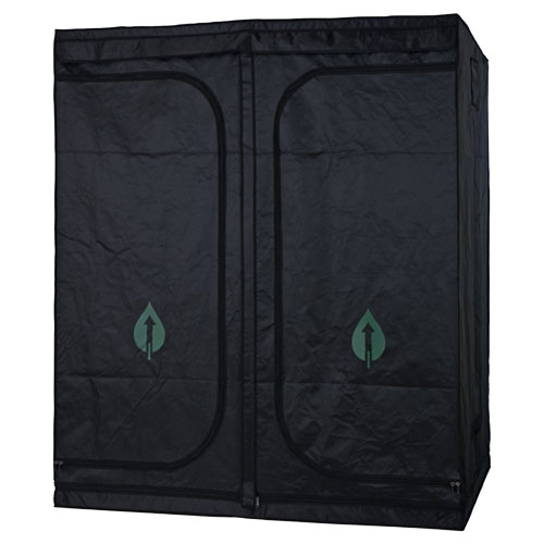 ��SODATEC�� GREEN ROOM [XL]