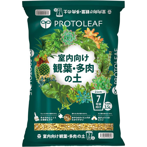 �ڥץ��ȥ꡼�աۼ���������ա�¿������