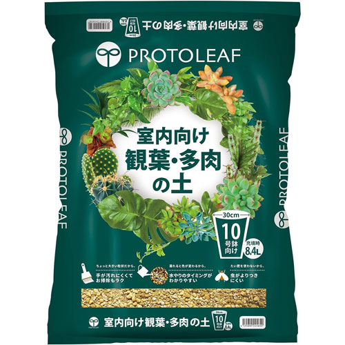 �ڥץ��ȥ꡼�աۼ���������ա�¿������