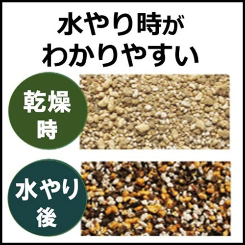 �ڥץ��ȥ꡼�աۼ���������ա�¿������