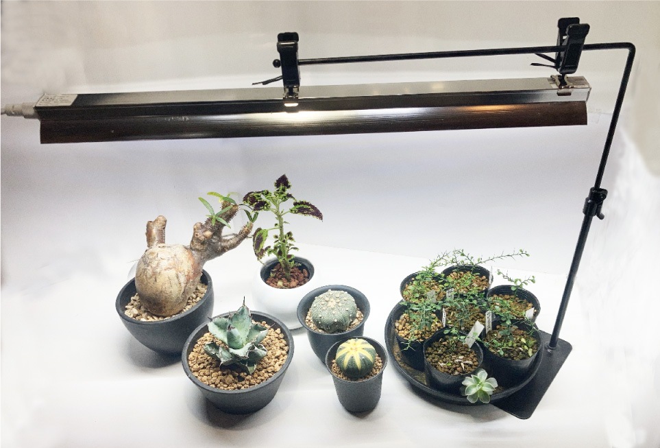 LED BAR475 & ��եȥ������SET