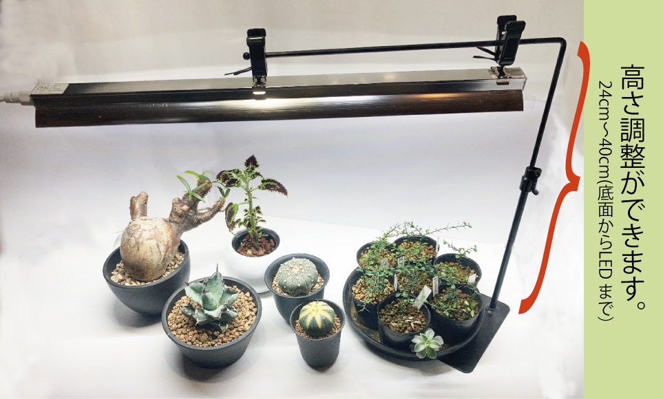 LED BAR475 & ��եȥ������SET