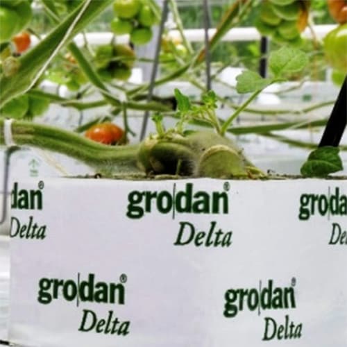 ��GRODAN�� ���å��������4�������