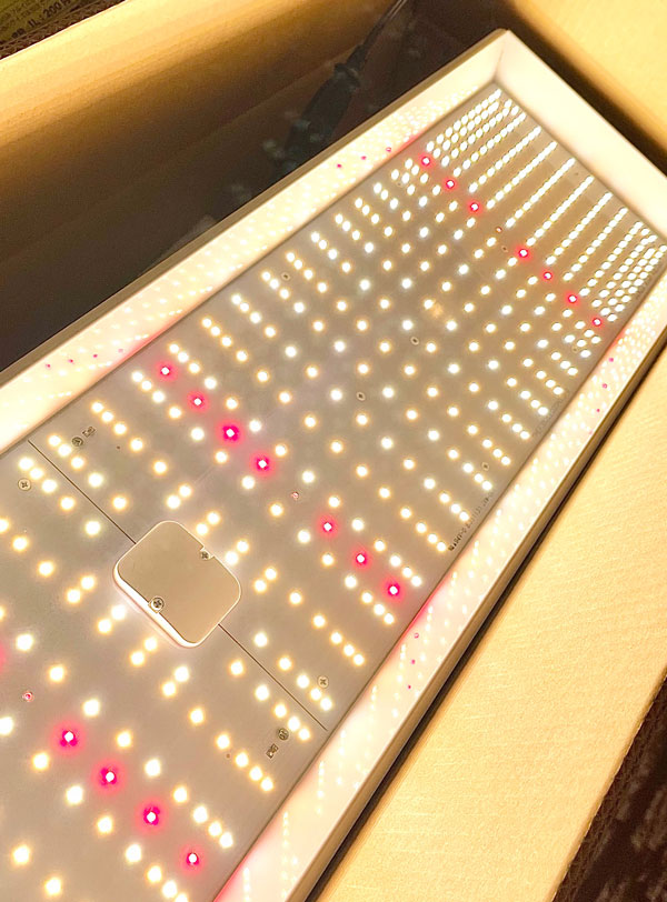 ��SODATEC�� LED ST-300W ����