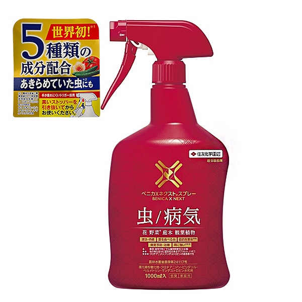 ڽͧرݡۥ٥˥Xͥȥץ졼 1000ml