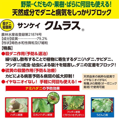 ��KINCHO��ݡۥ��󥱥�����饹 2gx10��