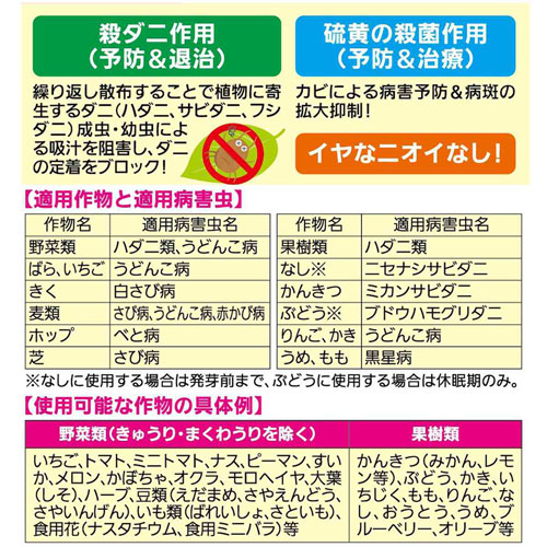 ��KINCHO��ݡۥ��󥱥�����饹 2gx10��