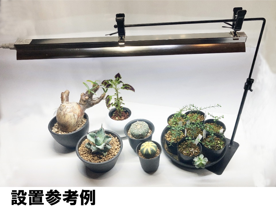 ��������եȥ������