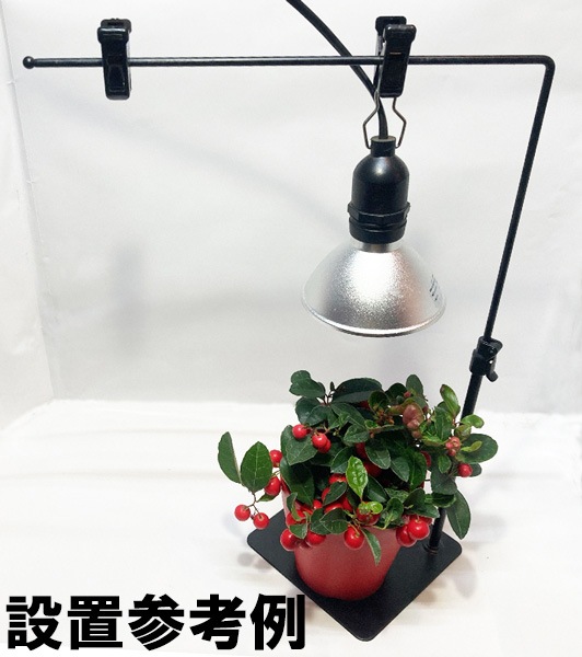 ��������եȥ������