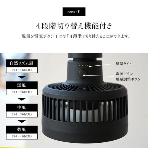 BARRELAechmea ʥ֥å