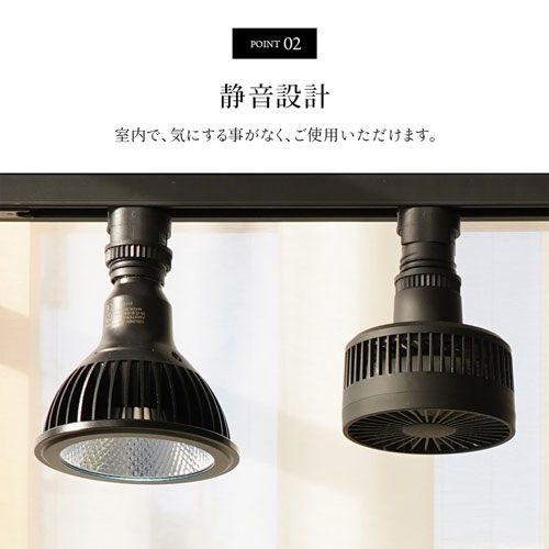 BARRELAechmea ʥ֥å